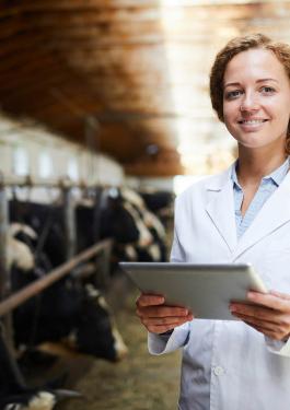 Farm Assurance woman cows
